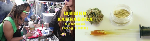 дурь Алексин