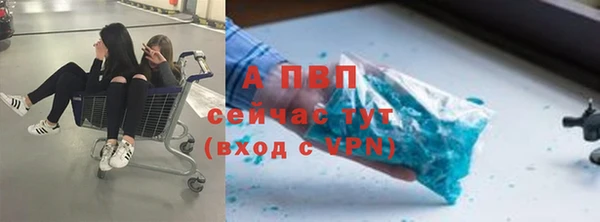 дживик Пересвет