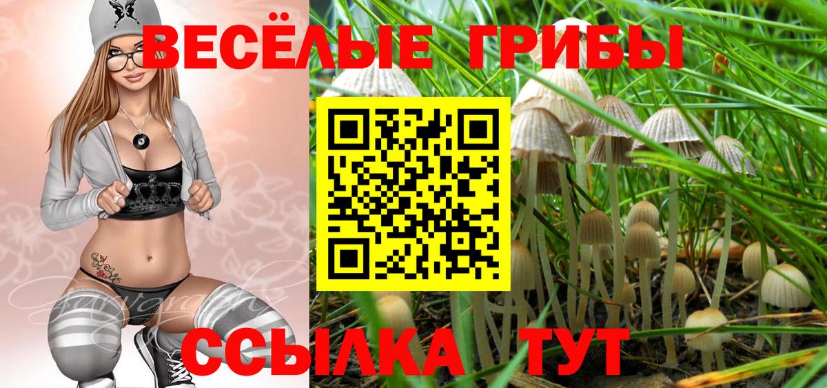 Галлюциногенные грибы мицелий  Галлюциногенные грибы Magic Shrooms  Вход с VPN  Тихвин 